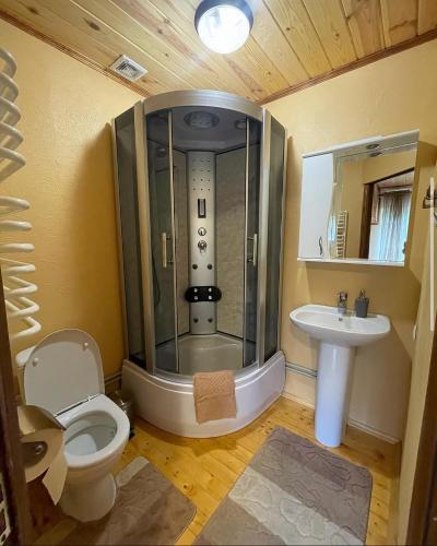 a bathroom with a shower and a toilet and a sink at Chalet Rovenka in Verkhovyna