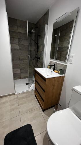 a bathroom with a shower and a sink and a toilet at Studio paisible, 30m2 in La Souterraine