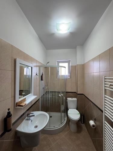 a bathroom with a sink and a toilet and a shower at Harmonie Radauti in Rădăuţi
