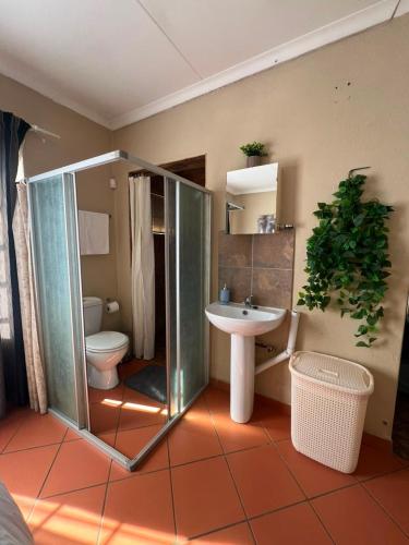 a bathroom with a shower and a toilet and a sink at Kingfisher Hideaway in Nelspruit