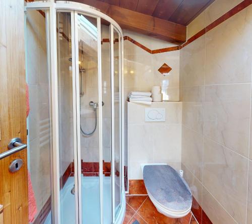 a bathroom with a shower and a toilet at Gipfelblick Appartements in Umhausen