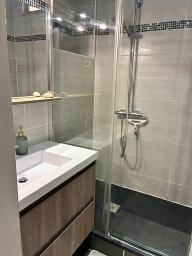 Logement entier vue mer