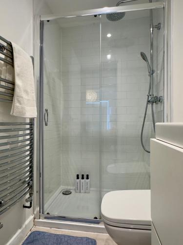 a bathroom with a shower and a toilet at Buttercup Victorian House for 6 in St. Leonards