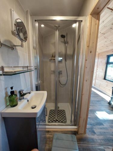 a bathroom with a shower and a sink at Knocknafallia in Cappoquin