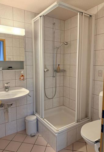 a bathroom with a shower and a toilet and a sink at Hotel Alp Sur in Mühlen