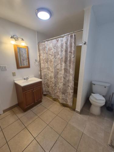 a bathroom with a toilet and a sink and a shower at Victorian Inn in Reno