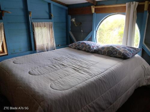 a bed in a blue room with a window at Dali in La Pedrera