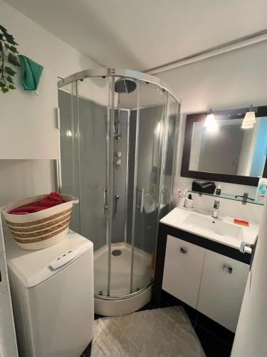 appartement climatisé avec piscine au Ponant La Grande-Motte