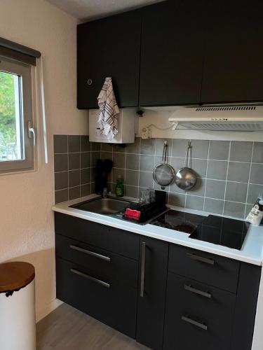 appartement climatisé avec piscine au Ponant La Grande-Motte