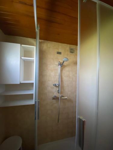 a shower with a glass door in a bathroom at Le Mazot in Veyrier-du-Lac