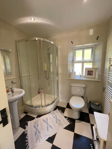 a bathroom with a shower and a toilet and a sink at Cottage in the Dublin mountain in Dublin