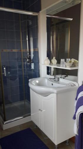 uma casa de banho com um lavatório e um chuveiro em La charentaise ch d'hôtes ,Studio em Chérac