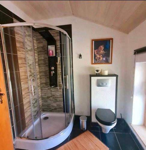 a bathroom with a shower and a toilet in it at Ferienwohnungen Woidzauber mit Sauna in Zwiesel
