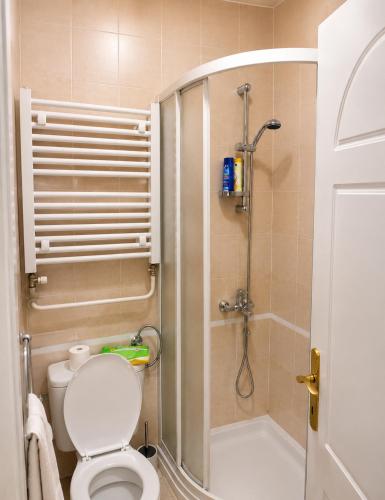 a small bathroom with a toilet and a shower at Niški kutak in Niš