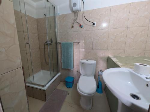 a bathroom with a shower and a toilet and a sink at ponta gato residence in Tarrafal
