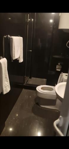 a bathroom with a toilet and a sink and towels at Faraon apartmani Beograd in Belgrade