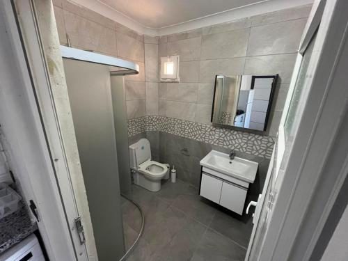 a bathroom with a toilet and a sink at Raif Arda Apart in Marmara