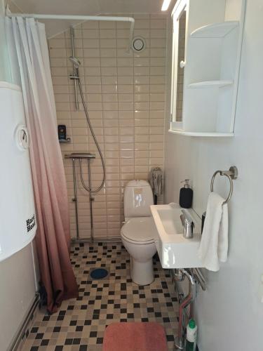 a bathroom with a toilet and a sink and a shower at Cozy cottage on Värmdö in Djurhamn