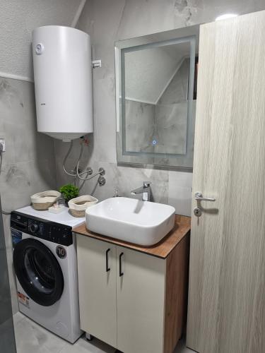 a bathroom with a sink and a washing machine at Vila Milena in Žabljak