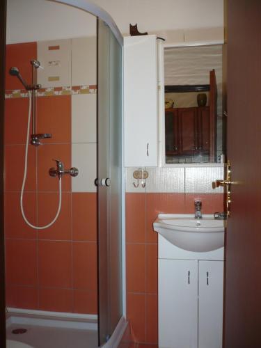 Apartmány pod Suchým Vrchem tesisinde bir banyo