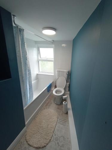 a bathroom with a toilet and a window at Mutton House in Milltown Malbay