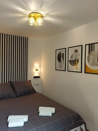 a bedroom with a bed with two towels on it at Graphite Residence Chynowo in Chynowo