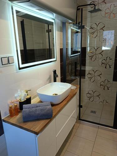a bathroom with a sink and a shower at Graphite Residence Chynowo in Chynowo