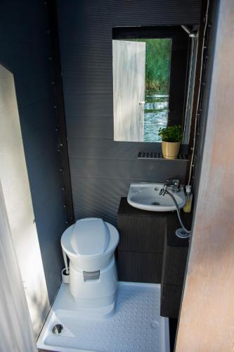 a small bathroom with a toilet and a sink at Houseboat Dąbrowica in Dąbrowica