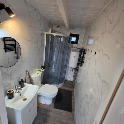 a bathroom with a shower and a toilet and a sink at DOMKI POD DĘBAMI , Radawa in Radawa