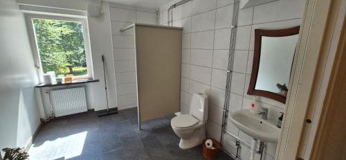 a bathroom with a toilet and a sink at Frostavallen Hostel in Långstorp