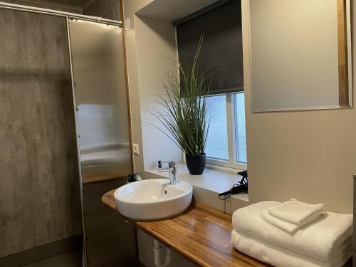 a bathroom with a sink and a potted plant at Bjarg at Lyngholt in Þórshöfn