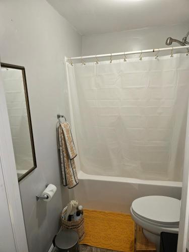 a bathroom with a white shower curtain and a toilet at MALE Only Shared Basement in Frederick