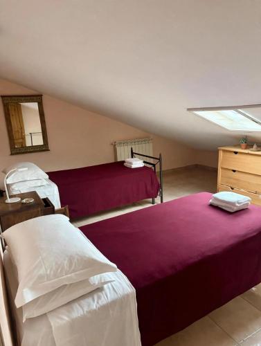 a hospital room with two beds and a mirror at Casale Santilli in Agnone