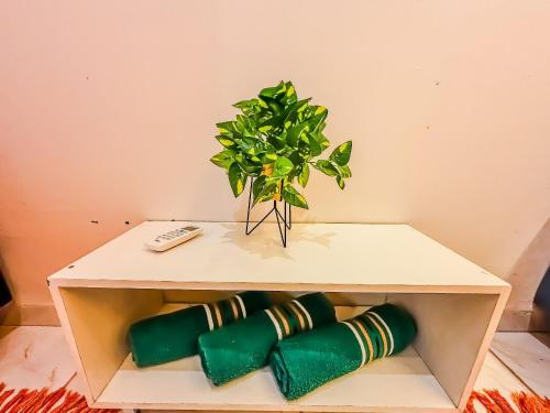 a table with a potted plant on top of it at Vila Imper Host Itz - Apês com Wi-fi I A/C a 5 min. do Imperial Shopping in Imperatriz