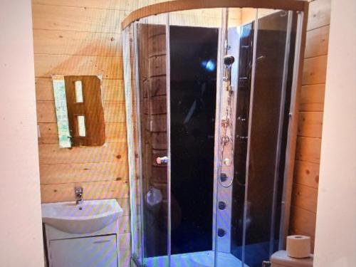 a bathroom with a shower and a toilet and a sink at Eco domki Mazury in Ruciane-Nida