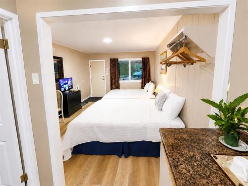 a hotel room with a large bed and a television at Overlander Motel in Chase