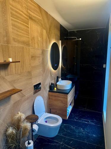 a bathroom with a toilet and a sink at WiNGS Retreat in Lupşa