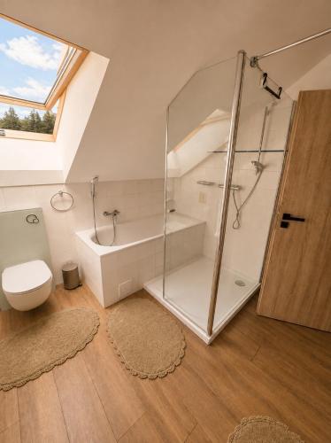 a bathroom with a glass shower and a toilet at SNOW LAKE Lipno in Lipno nad Vltavou