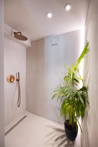 a bathroom with a plant in the corner of a room at Anamu Suites in Kondáraina