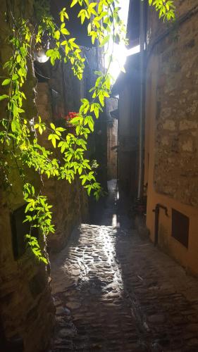 Une allée où la lumière brille à travers quelques feuilles dans l'établissement Casa Luna, à Apricale