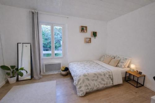 Large, bright apartment close to the old town