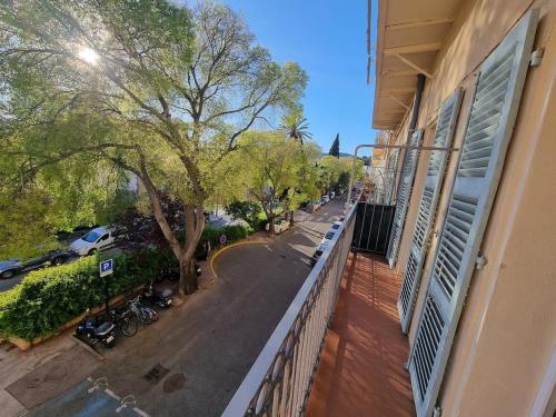 Large, bright apartment close to the old town