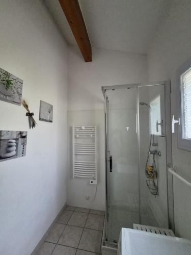 a bathroom with a shower and a glass shower stall at Mazet sous les chênes in Valaurie