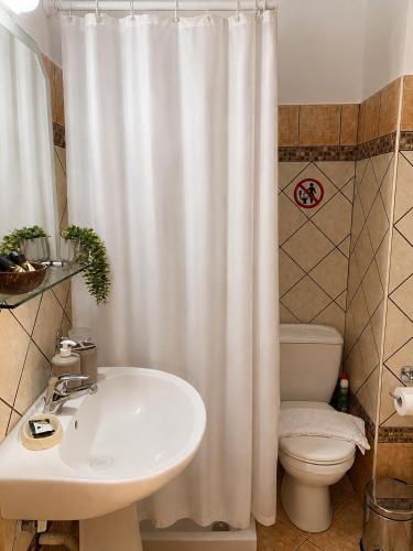 a bathroom with a sink and a toilet and a shower curtain at Velmare apartments in Paralia Vrachou