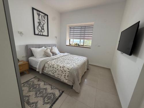 a small bedroom with a bed and a television at הפינה של טלי בנהריה - יחידות אירוח וספא בריאות in Nahariyya