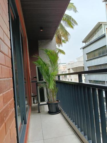 a balcony with a plant in a pot at Raayara Suites in Bangalore