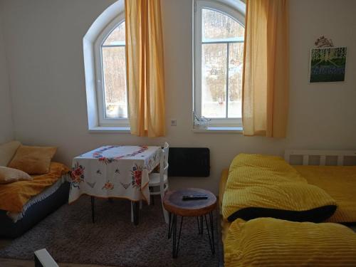 a living room with a bed and a table and windows at Aichinger in Hanušovice