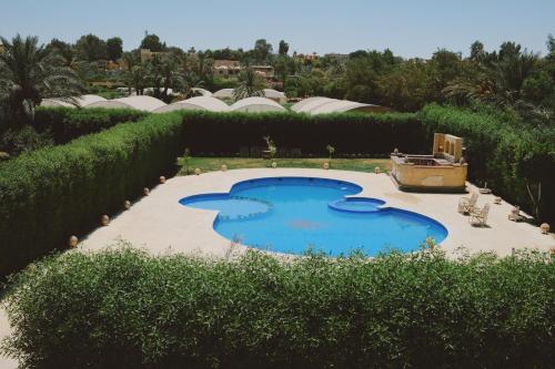 a swimming pool in the middle of a garden at Slow Tunis in Tunis