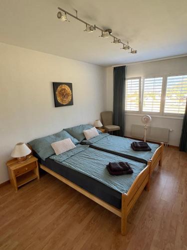 a bedroom with a large bed in a room at Mountain View in Monthey