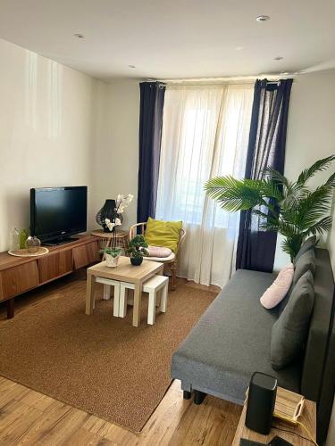 Le Cocon Verdoyant - 2 Chambres - Montchat